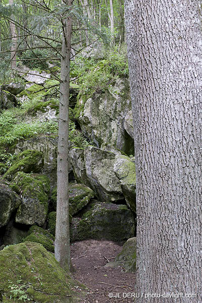 bois et rochers
wood and rocks